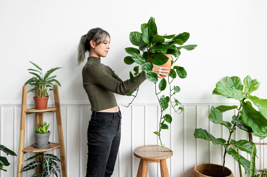 Frau die eine Pflanze in einem Zimmer voller anderer Pflanzen hält